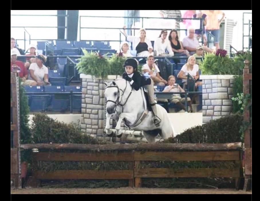 Dallas Equestrian Center — Premier Riding & Training Facility