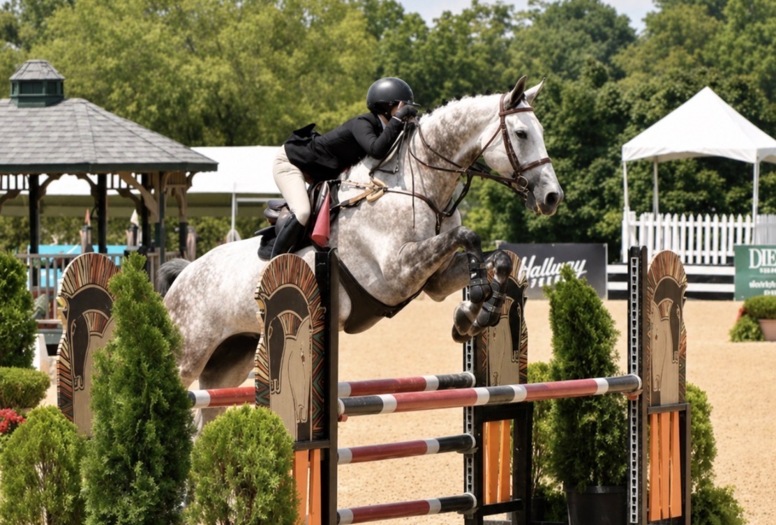 Dallas Equestrian Center — Premier Riding & Training Facility