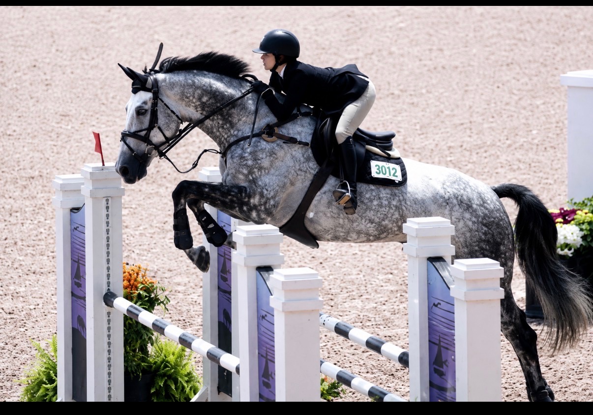 Dallas Equestrian Center — Premier Riding & Training Facility