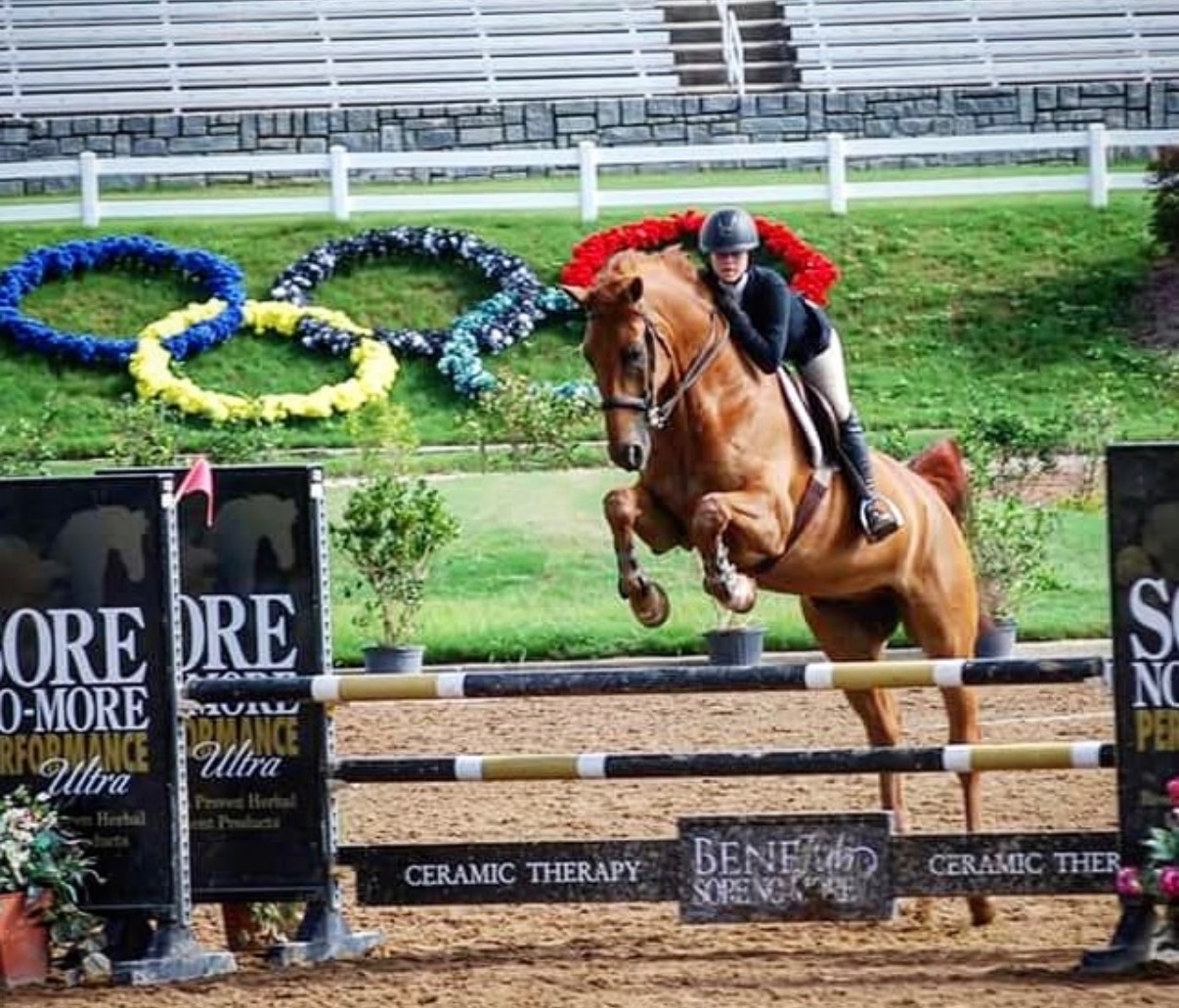 Dallas Equestrian Center — Premier Riding & Training Facility
