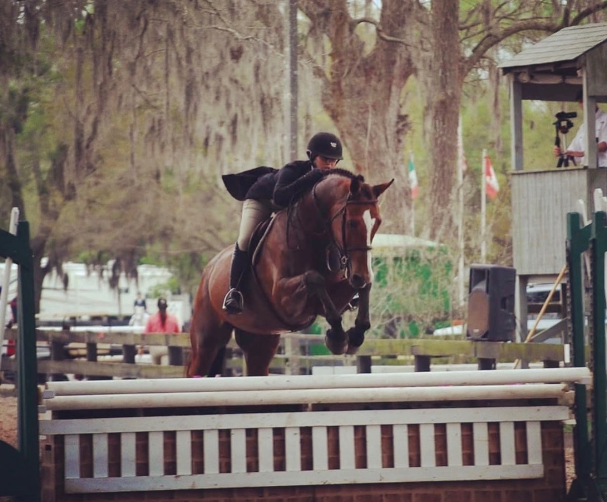 Dallas Equestrian Center — Premier Riding & Training Facility